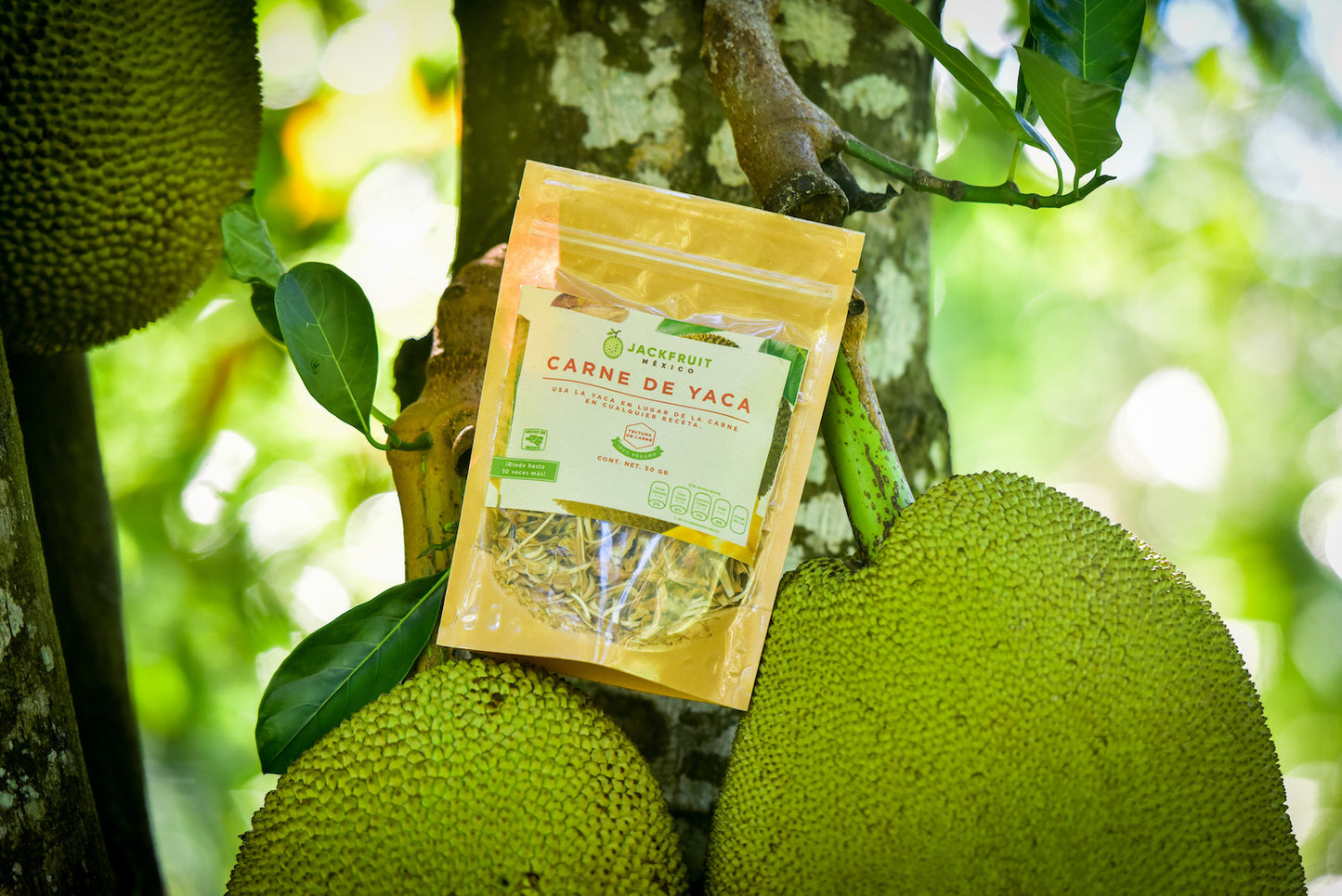 Jackfruit Meat 50g