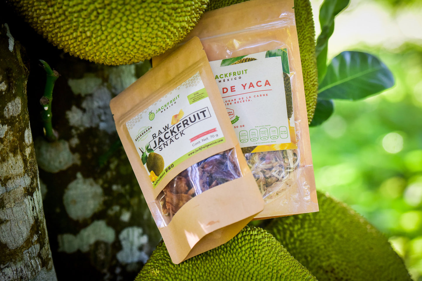 Jackfruit Snack 150g